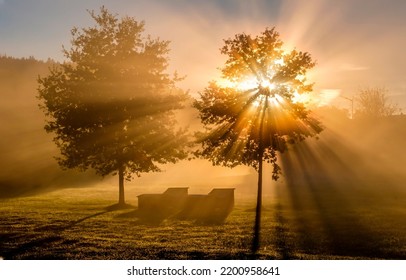 Bright sunlight through the fog at dawn. Early morning fog at dawn. Sunrise tree silhouette in fog at dawn. Trees in morning fog at dawn - Shutterstock ID 2200958641