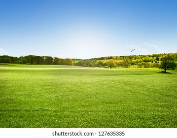 Bright sunny day at Alnwick Pastures, Northumberland - Powered by Shutterstock