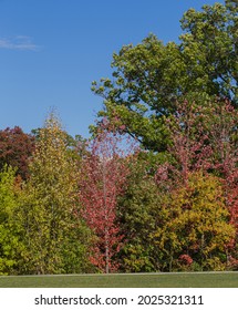 A Bright, Sunny Day In Early Autmn In Canada, The  Leaves On The Trees Are Beginning To Change Colours.