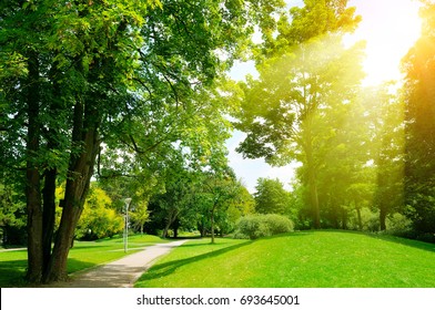 Bright Sunny Day In Park. The Sun Rays Illuminate Green Grass And Trees.