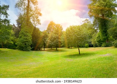 Bright Sunny Day In Summer Park.