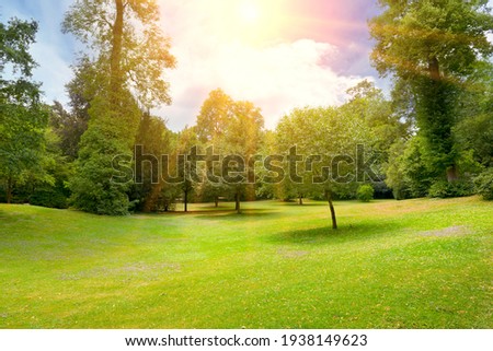 Bright sunny day in summer park.