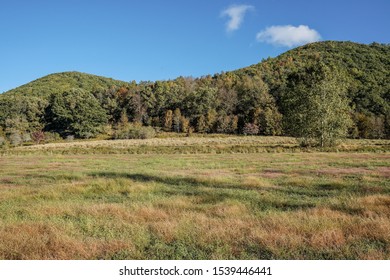 Bright, Sunny Morning Image Of Beautiful Pennsylvania Mountains And Landscape.