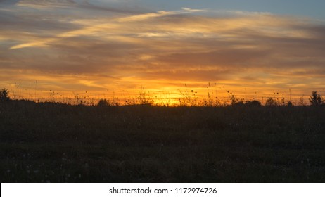 Bright sunset with grass silhouettes in foreground
 - Powered by Shutterstock