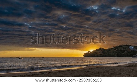 Similar – Image, Stock Photo A highlight shines over the forest in Burleigh Heads in the evening.