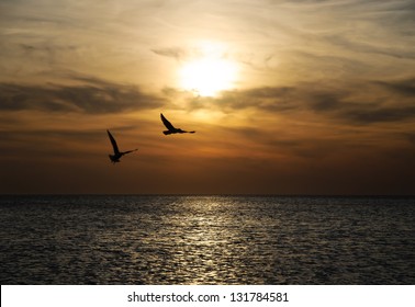 Bright sunset panorama with flying birds under the sea surface