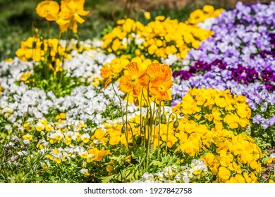 64 Fully Translucent Images, Stock Photos & Vectors | Shutterstock