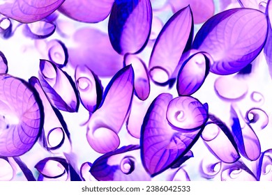 Bright violet and lilac natural structures and shapes. Negative pattern of green Veratrum leaves. Abstract colorful background.