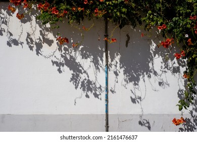 3,246 Red wall cord Images, Stock Photos & Vectors | Shutterstock