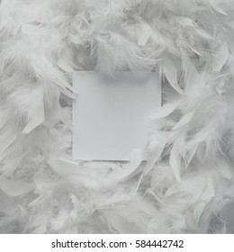 Bright white feather texture. Flat lay minimal concept.