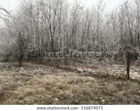 Similar – Windig heute Umwelt Natur