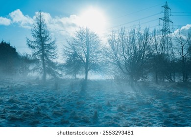 The bright winter sun pierces through a misty frosted field, illuminating bare trees and snow-covered ground. - Powered by Shutterstock