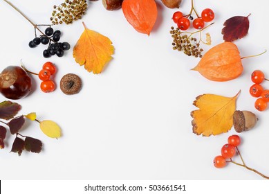 Bright yellow autumn leaves, chestnuts, pine cones and orange physalis flowers on a white background with copy space for text. Beautiful autumn frame. Top view photo - Powered by Shutterstock