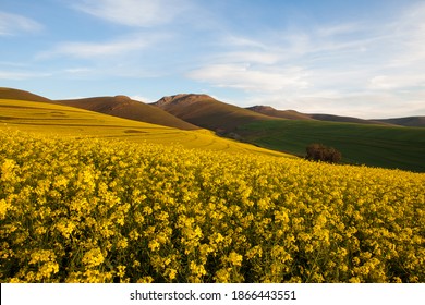 122,273 Images farming Images, Stock Photos & Vectors | Shutterstock