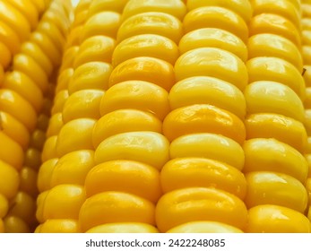  bright yellow corn in macro photo 