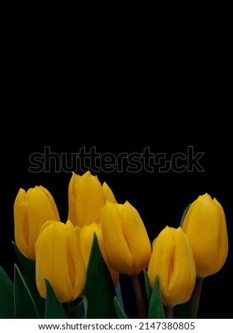 Similar – Image, Stock Photo spring awakening Flower