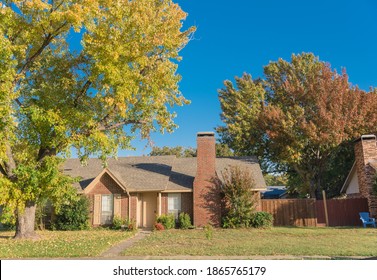 Bright Yellow Fall Foliage In Front Of Typical Suburban Residential House Near Dallas, Texas, America