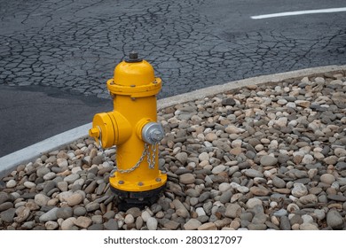 Bright yellow fire hydrant standing prominently next to a cracked asphalt road and a concrete curb, surrounded by river rocks, representing essential urban infrastructure and public safety.