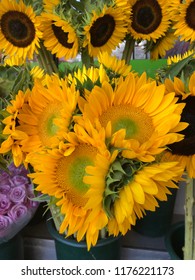 Bright Yellow Happy Sunflowers For Sale In Pots At A Bodega In New York City