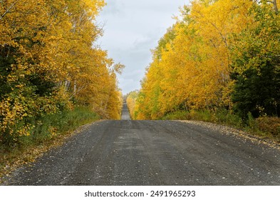 Bright Yellow and Orange Fall Leaves Along a Dirt Road on Overcast Day - Powered by Shutterstock