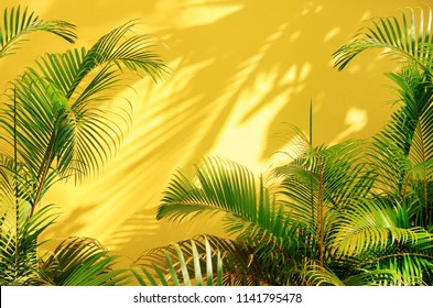 Bright yellow painted wall framed with green tropical palm leaves, sunlight with shadows patterns, summer background.  - Powered by Shutterstock