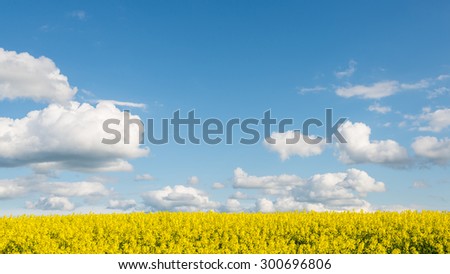 Similar – Image, Stock Photo Country under Sky Clouds