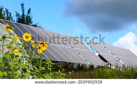 Bright yellow sunflower flowers on the background of a solar power plant. Blue sky, white with gray clouds. The concept of harmony of technology and nature.