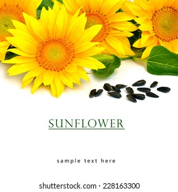 Bright yellow sunflowers and sunflower seeds isolated on the white background - Shutterstock ID 228163300