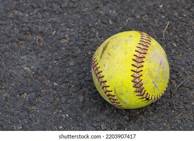 Bright Yellow Women's Softball Sports