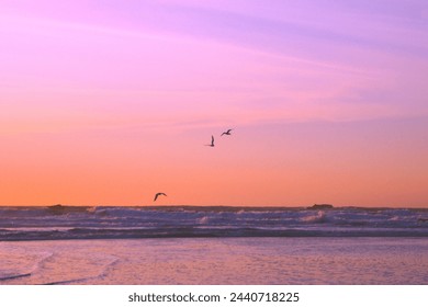 Brightly colored beach sunsets with a focal point: birds, trees, or the setting sun. - Powered by Shutterstock