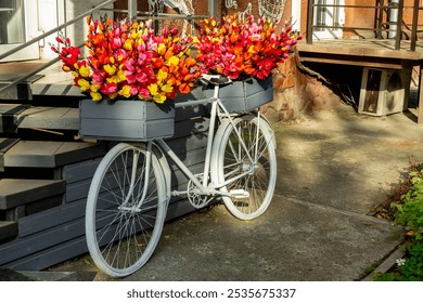 Brightly colored flower arrangements in baskets on a white bicycle by the steps of a rustic building in autumn
 - Powered by Shutterstock