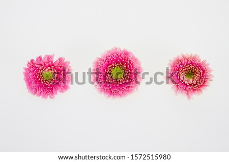 Similar – Foto Bild 3 Gerbera-Blüten im Glas auf Papprolle