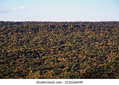 Brightly Colored Trees On Third Mountain Of The Appalachian Mountains Late In The Day Of An Autumn Afternoon. The Appalachians Are A System Of Mountains In Eastern To Northeastern North America.