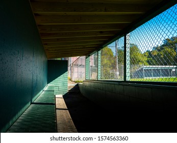 Brightly sun-lit home team baseball dugout with view of away team dugout