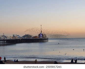 Brighton Pier Starlings at Sunset - Powered by Shutterstock