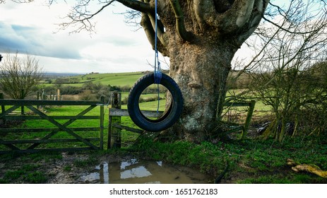 Brill, Buckinghamshire / UK - 02/17/2020: Old Tyre Swing. Recycled Vehicle Tyre Used As A Swing.