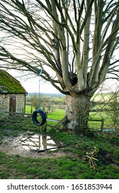 Brill, Buckinghamshire / UK - 02/17/2020: Old Tyre Swing. Recycled Vehicle Tyre Used As A Swing.