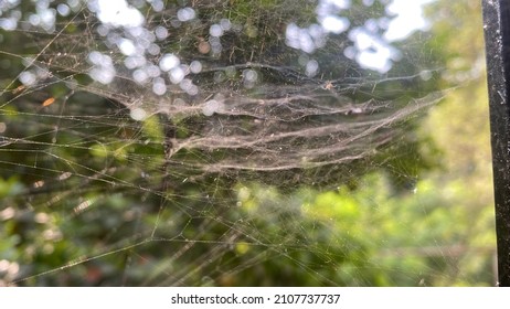 828 Complex spiderweb Images, Stock Photos & Vectors | Shutterstock