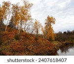 Brilliant fall or autumn foliage along Gooseberry River in Gooseberry Falls State Park in Minnesota,