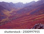 Brilliant fall colors blanket the valley looking towards the Tombstone mountain range, Yukon, Canada. September 1993