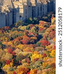 Brilliant fall colors of Central Park foliage. Aerial view toward Central Park West Historic District. Upper West Side, Manhattan, New York City