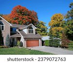 Brilliant fall foliage in suburban residential district