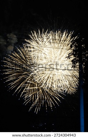 Brilliant fireworks exploding in the night sky creating a dazzling golden light show.