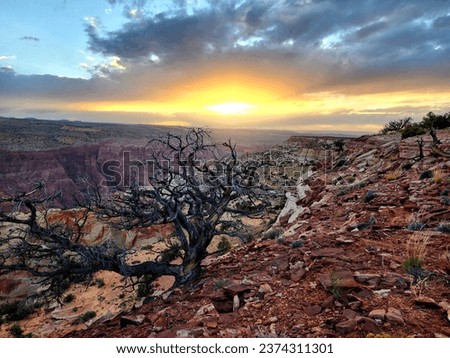 Brilliant Sunset over Vermilion Cliffs Arizona Stock photo © 