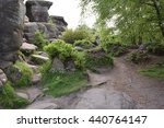 Brimham rocks
