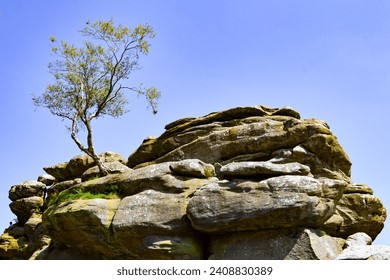 Brimham Rocks is an amazing collection of wonderful rock formations, sculpted over centuries by ice, wind, and rain.