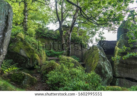 Brimham Rocks in North Yorkshire