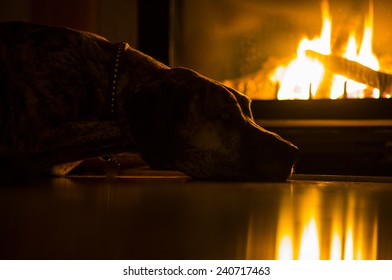 A Brindle Great Dane Is Laying On A Floor Next To A Fire Place. The Dog Is Highlighted By The Warm Light Of The Flame.