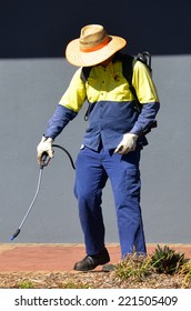 BRISBANE, AUS - SEP 25 2014:Manuel Worker Sprays Plants In City Garden In Brisbane.The City Is Responsible For Controlling Pest Plants And Animals On Public Land.