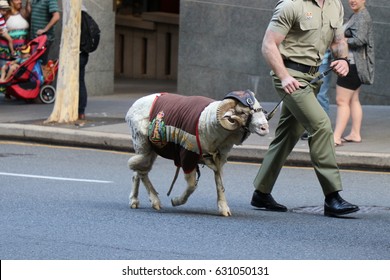 BRISBANE, AUSTRALIA - APRIL 25, 2017: Australian Army Soldier Marching With A Ram In The ANZAC Parade.